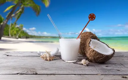 پربازدید ترین عکس از نارگیل و نوشیدنی خوشمزه نارگیلی در ساحل داغ تابستونی با کیفیت عالی