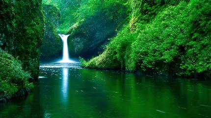 عکس پروفایل سرزندە خاص اینستاگرام از رودخانه آمازون سبز رنگ و آبشار زیبایش