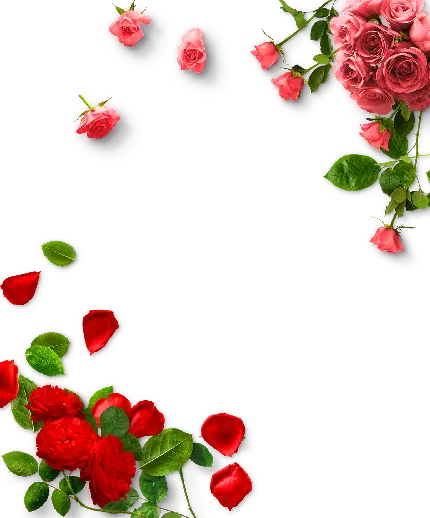 تصویر گرافیکی با طرح حاشیه گل قرمز برای پاورپوینت 