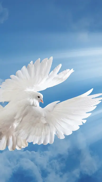 پوستری دلنشین از کبوتر مهربان در حال پرواز در آسمان
