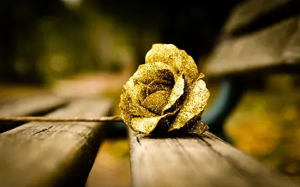 عکس زمینە گل طلایی زرق و برقدار روی نیمکت