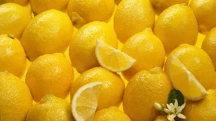 بک گراند خوشگل از لیموی زرد و خوشمزه با کیفیت عالی 