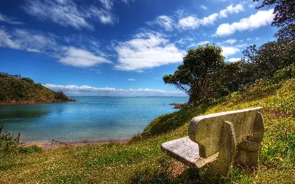 چشم انداز 8K زیبای نیمکت چوبی در اطراف دریا در نیوزیلند