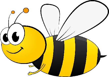 دانلود تصویر با کیفیت نقاشی زنبورعسل برای کودکان 