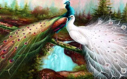 عکس فانتزی و رمانتیک از دو طاووس سفید و رنگی بر پلی در جنگل خاص ویندوز