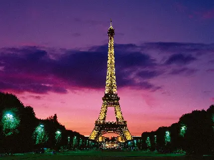 دانلود تصویر زمینە مرتب و تمیز از درختچە‌های کنار برج ایفل و آسمان چند رنگ شب در پاریس مهد فرهنگ فرانسە
