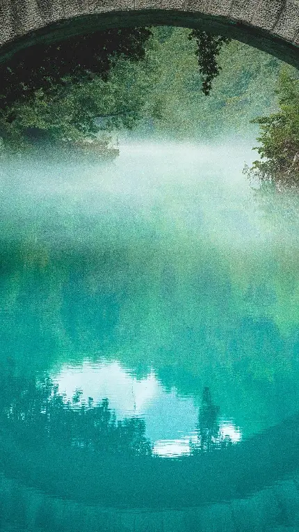 تصویر زمینه دریاچه مه گرفته منتهی به طبیعت سرسبز برای گوشی آنر