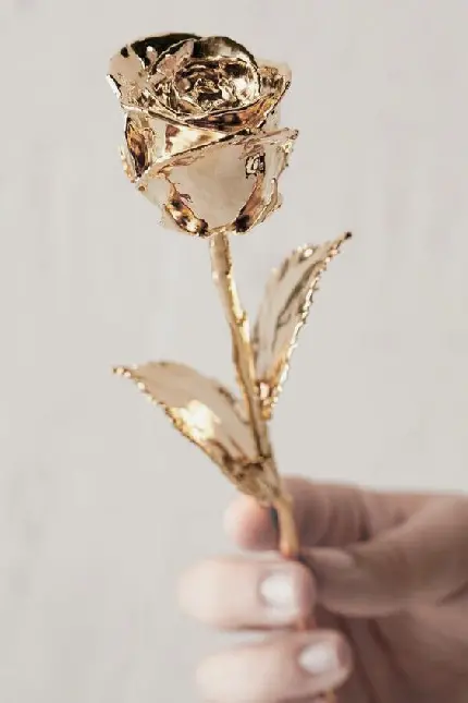 پوستر تار و نامعلوم از گل طلایی در انگشتان دست
