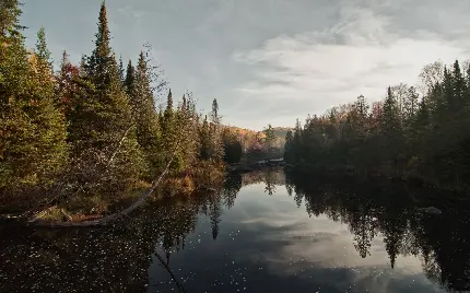 دانلود محبوب ترین بک گراند طبیعت دریاچه برای واید اسکرین 