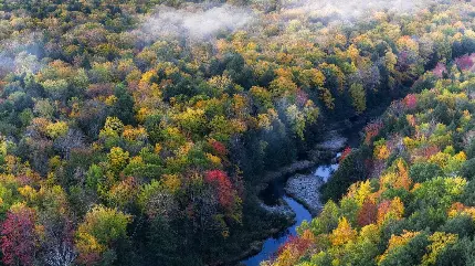 زیباترین عکس هوایی از طبیعت رنگی پاییزی در هوای خنک