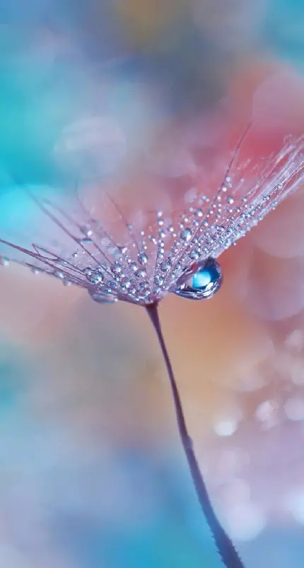 تصویر زمینه گوشی سامسونگ a11