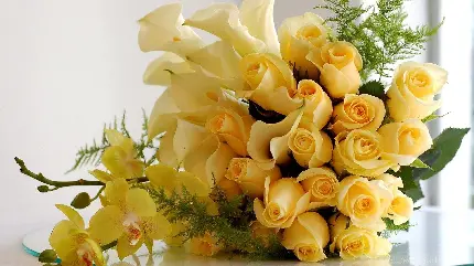 داغ ترین عکس دسته گل رز زرد با کیفیت عالی برای تلگرام 