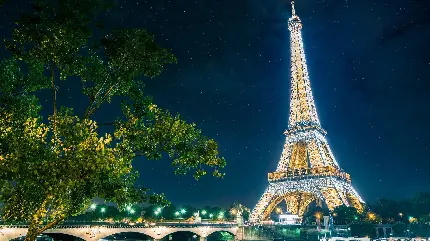 دانلود عکس پروفایل سر زندە و بهاری خاص واتساپ از طبیعت اطراف برج ایفل شهر پاریس نماد فرهنگ فرانسە