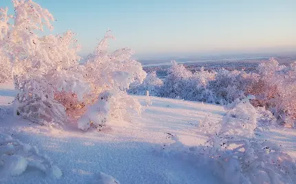 عکس فانتزی باب روز از طبیعت زمستانی و عکس منظره پوشش گیاهی پوشیدە از برف