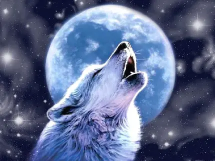 تصویر خارق العاده از گرگ و ماه با جزئیات رویایی و شگفت انگیز 