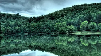 عکس فوق العاده زیبا از جنگل و دریاچه پر از آب زلال برای پروفایل