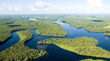 دانلود عکس زمینە نوین از قسمت‌های تکە تکە جدا شدە سبز زیتونی رنگ رودخانه آمازون