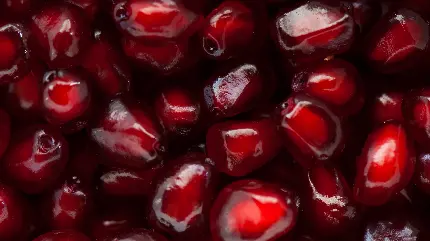 تصویر زمینه خوشگل از دانه های انار قرمز و کوچک برای لپتاپ 