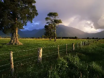 عکس دلپذیر Full HD از طبیعت نیوزیلند برای چاپ تابلو