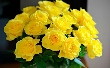 دانلود عکس استوک منحصر به فرد از دسته گل رز زرد 