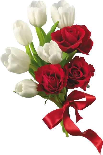 بهترین PNG از گل های رز و لاله در کنار هم برای ادیت 