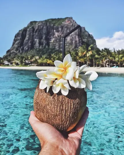 جالب ترین تصویر نارگیل تزئین شده با گل با زمینه اقیانوس زیبای آبی با کیفیت 8k برای پروفایل