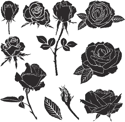 دانلود تصویر انواع گل های مشکی تسلیت با زمینه خالی