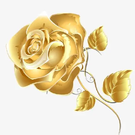 پوستر باشکوە از گل رز طلایی خوشکل باکیفیت عالی مناسب گوشی