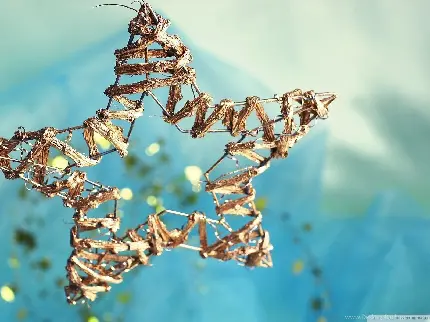 عکس ستاره زیبا نقاشی