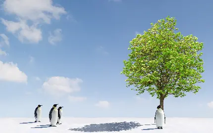 بک گراند بامزە طبیعت برفی و عکس منظره درختی سبز و پنگوئنی در سایە‌اش با سە پنگوئن در سوی دیگر