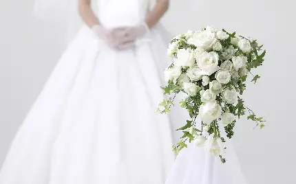 دانلود پس زمینە کمیاب از عروس و دستە گل رز سفید باکیفیت hd مناسب لپ تاب