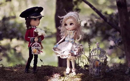 عکس استوک HD عاشقانه از دو عروسک پرنسس و شاهزاده 