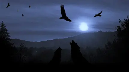زوزه دو گرگ در امتداد نور ماه از یک نمای خاص 