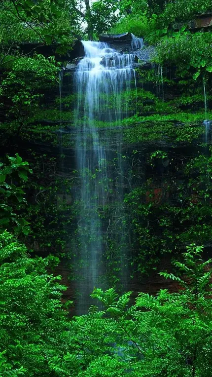 تصویر زمینه ویژه از طبیعت سبز اطراف آبشار با کیفیت HD 