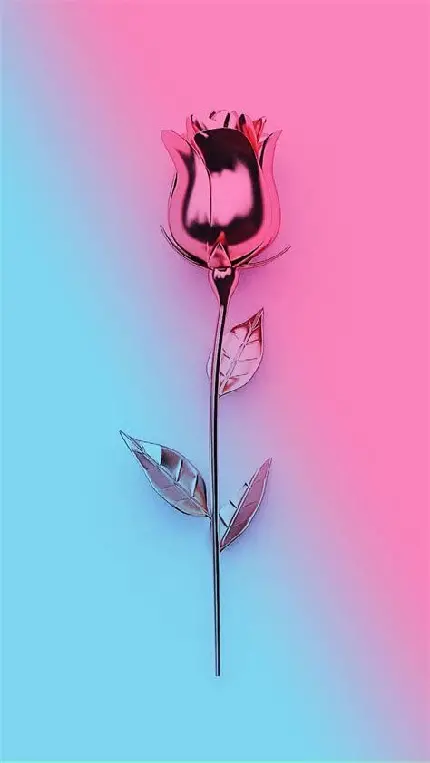 دانلود والپیپر فوق العاده زیبا گل رز صورتی گوشی و موبایل