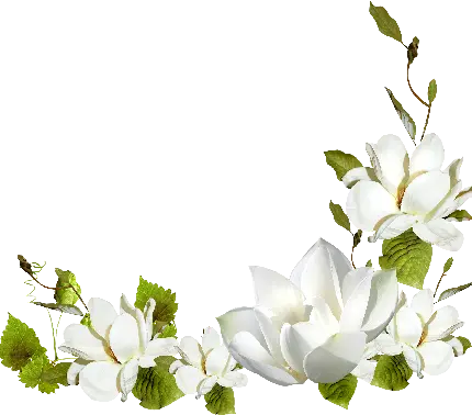 چاپ پوستر گل زیبای سفید در یک نمای گرافیکی رویایی برای کلیپ
