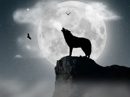 عکس دیجیتالی باحال از زوزه گرگ در حضور نور ماه
