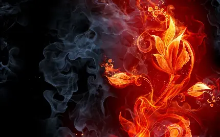 نمای گرافیکی شگفت انگیز از دود آتش جادویی به شکل گل