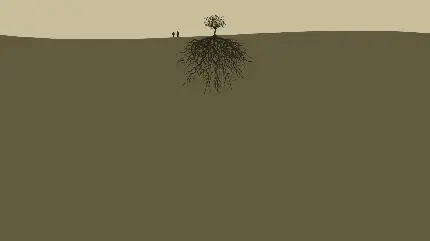 دانلود تصویر عجیب از یک درخت زیتون تنها و دو نفر کنارش