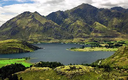 پس زمینه فول اچ دی حاشیه سرسبز دریاچه در نیوزیلند