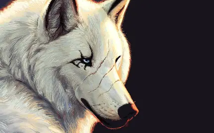 عکس دیجیتالی از گرگ سفید و زخمی با زمینه مشکی 