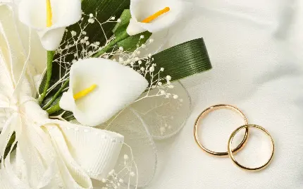 دانلود عکس زمینە دستە گل شیپوری همراە دو حلقە عروس و داماد سادە