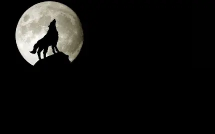 دانلود والپیپر شاهکار از گرگ و ماه برای ویندوز 11