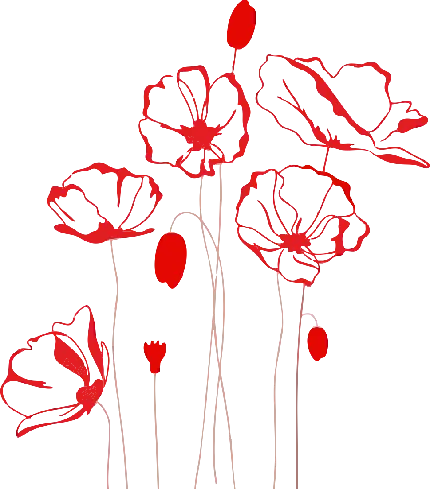 دانلود png خاص از گل‌ های بستە شدە شقایق قرمز 