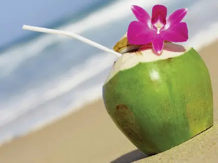 بک گراند شاهکار از نوشیدنی خنک تابستانی در پوسته سبز نارگیل با کیفیت HD