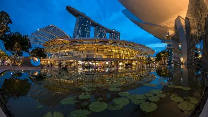  تصاویر بک گراند تسکین دهندە خاص لپ‌تاب از منظرە طبیعت باورنکردنی مشهور کشور سنگاپور باکیفیت hd