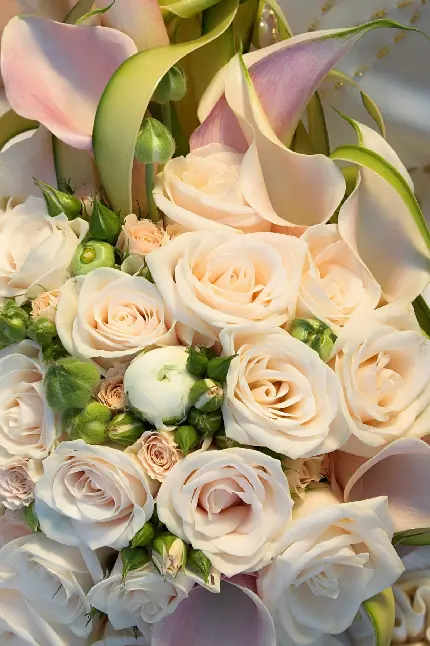 بزرگ ترین و دلرباترین پوستر دستە گل عروس با رنگ کرمی باکیفیت تاپ
