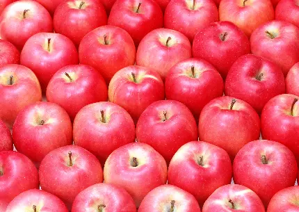 والپیپر دلفریب انتزاعی سیب‌های قرمز رنگ باکیفیت تاپ خاص تلگرام