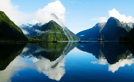 زییاترین تصویر انعکاس طبیعت سرسبز نیوزیلند در دریاچه آبی 