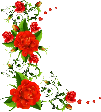 تصویر زمینه خام گل قرمز مناسب گوشه صفحه پاورپوینت 